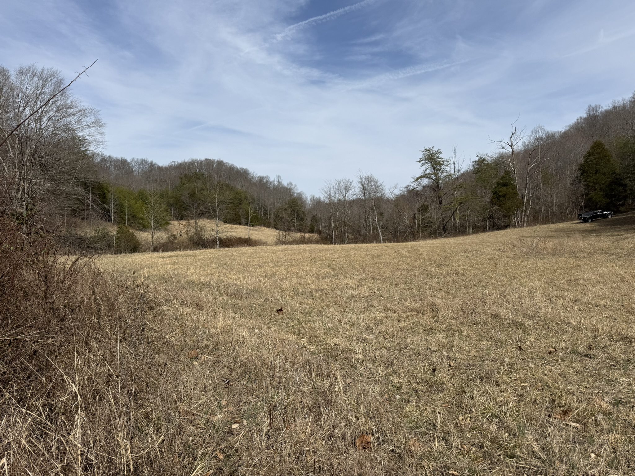 Open field bordered by hills