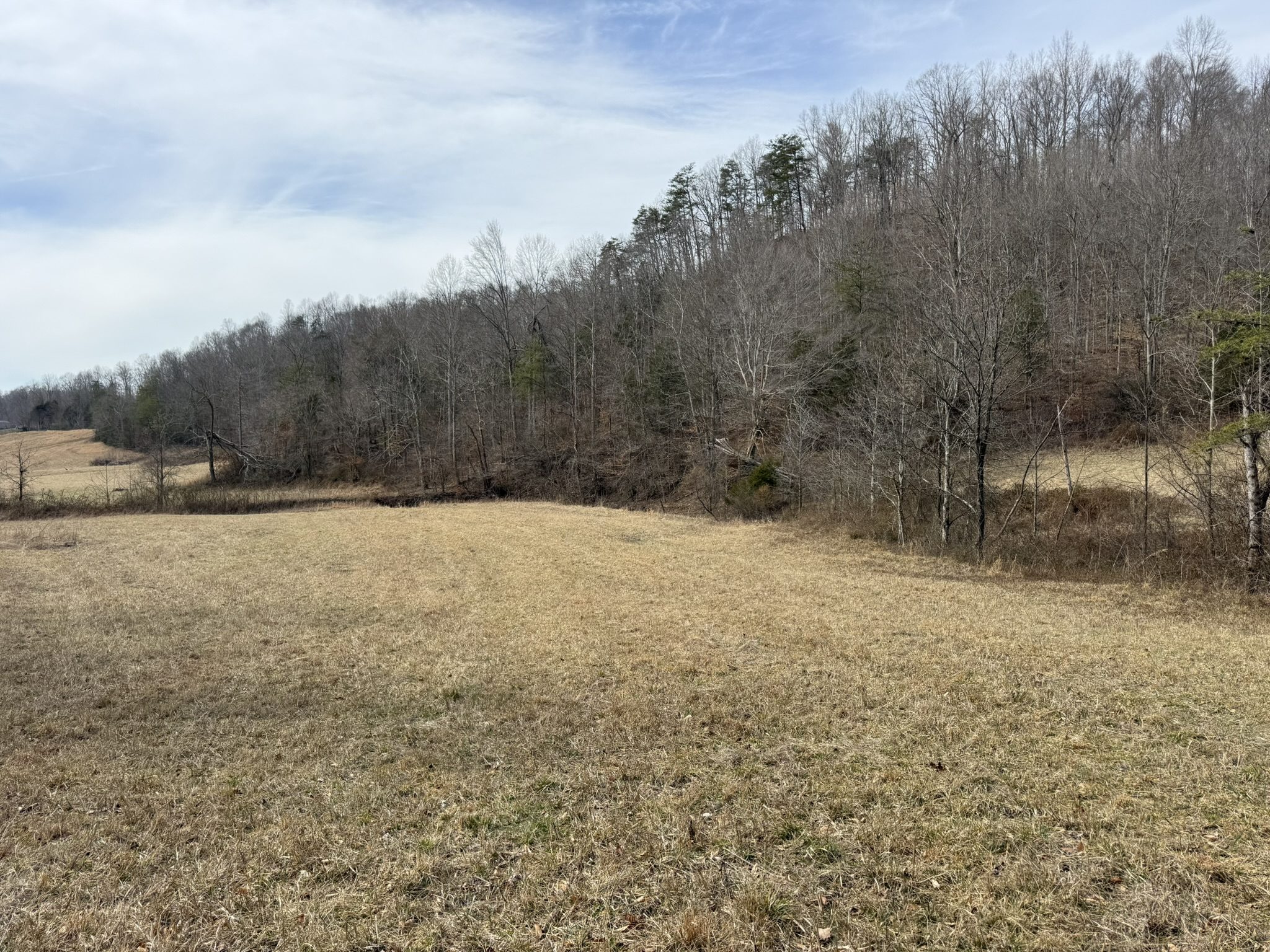 Field with treeline