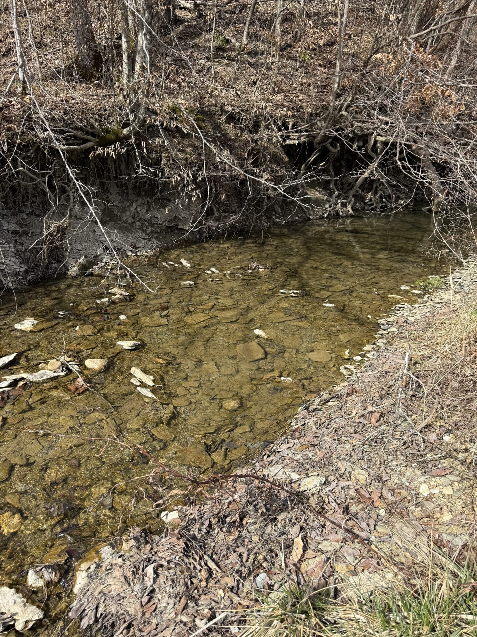 Creek running through the property