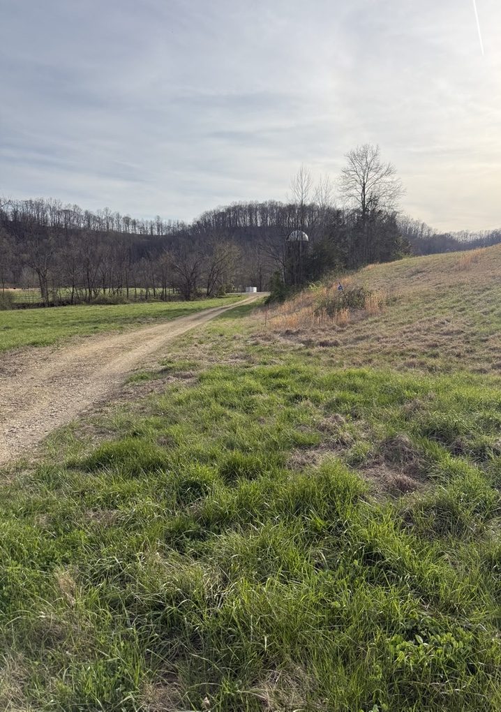 Farm road at golden hour