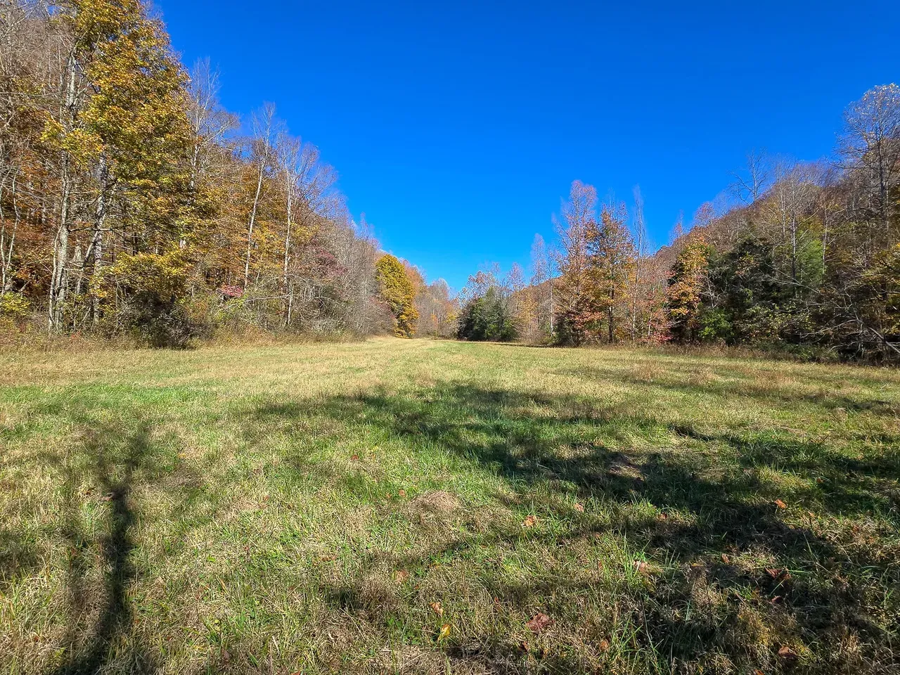 Open field in fall