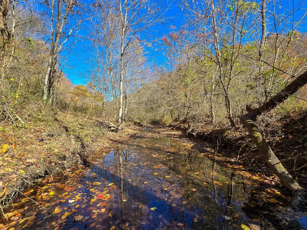 Creek in autumn